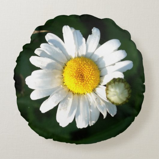 ホワイトデイジースロークッション ラウンドクッション (正面)