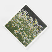 ホワイトデイジーナプキンス (コーナー)