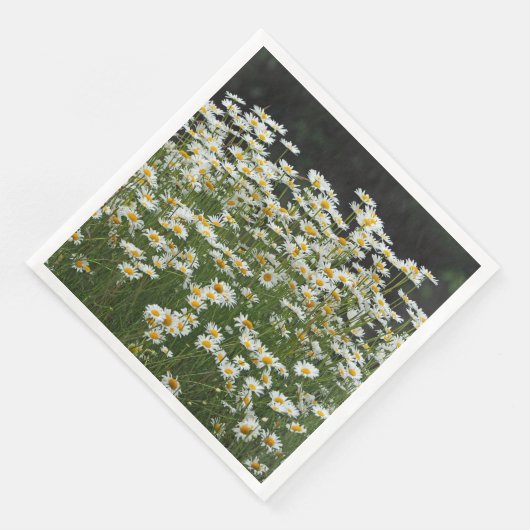 ホワイトデイジーナプキンス (コーナー)