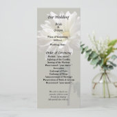 ホワイトデイジー プログラム (スタンド正面)