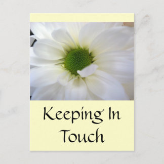 ホワイトデイジー ポストカード