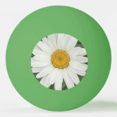 ホワイトデイジー 卓球ボール (裏面)