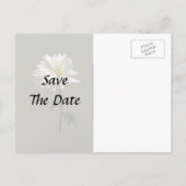 ホワイトデイジー 案内ポストカード (裏面)