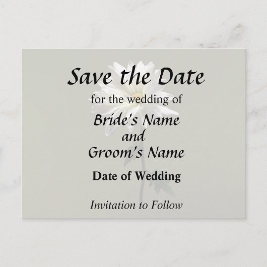 ホワイトデイジー 案内ポストカード (正面)