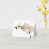ホワイトデンドロビウムオーキッドフラワースプレー空白のフローラ カード (黄色い花)
