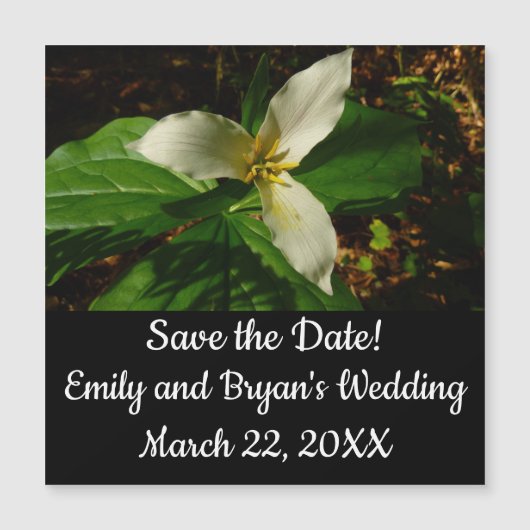 ホワイトトリリウムフラワー春ワイルドフラワー (正面)