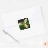 ホワイトトリリウムフラワー春ワイルドフラワー スクエアシール (封筒)