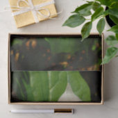 ホワイトトリリウムフラワー春ワイルドフラワー 薄葉紙 (ギフト)