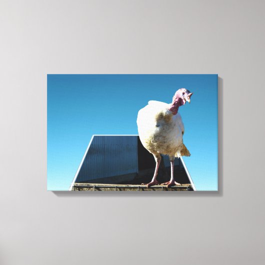 ホワイトトルコの立体的なポップアウトアート キャンバスプリント (正面)