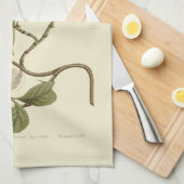 ホワイトドッグウッド花イラストレーション キッチンタオル (四つ折り)