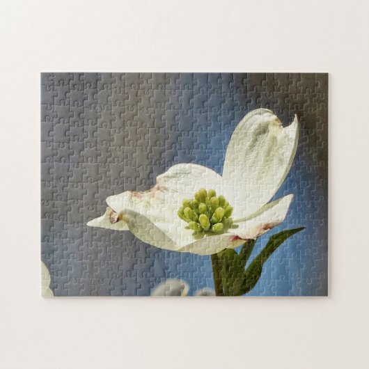 ホワイトドッグウッド開花 ジグソーパズル (横)
