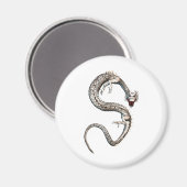 ホワイトドラゴン マグネット (正面/裏面)