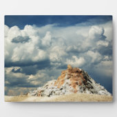 ホワイトドームのプラーク フォトプラーク (正面)