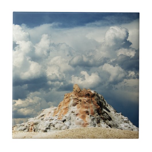 ホワイトドームタイル タイル (正面)