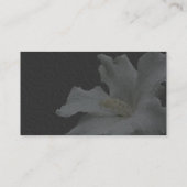 ホワイトハイビスカスオンブラックフローラ名刺 名刺 (裏面)