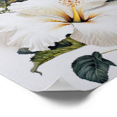 ホワイトハイビスカスフラワーアートプリントポスター ポスター (角)