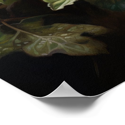 ホワイトハイビスカスフラワーズアートプリントポスター ポスター (角)