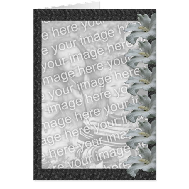 ホワイトハイビスカスフローラデザインフォトカード (正面)