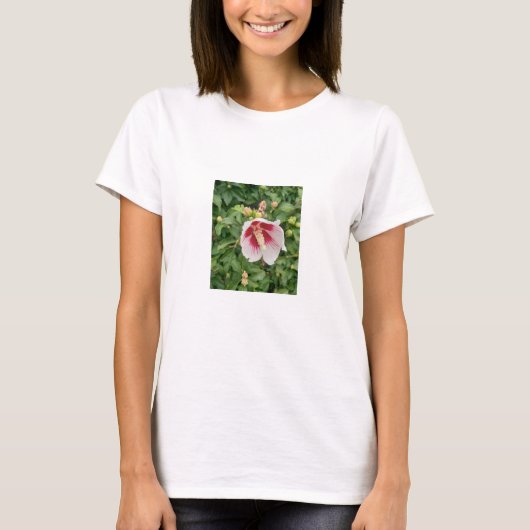 ホワイトハイビスカス女性Tシャツ Tシャツ (正面)