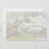ホワイトハウスの前に咲くヤドリギの結婚式用品 招待状 (裏面)