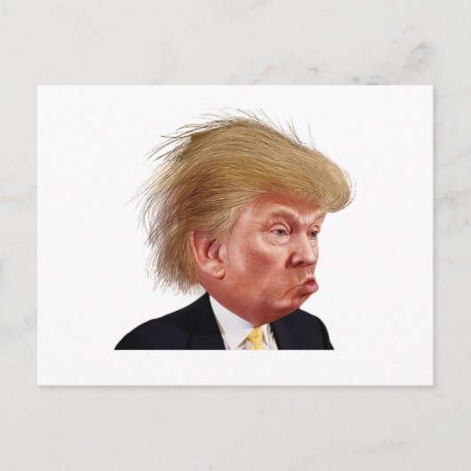 ホワイトハウスへのはがき ポストカード (正面)