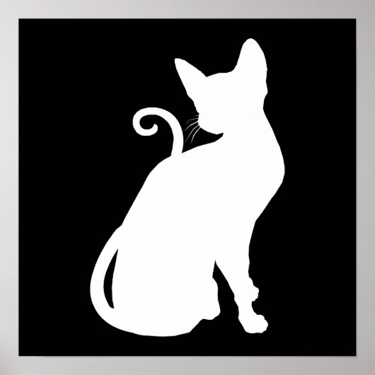 ホワイトハウスキャット ポスター (正面)