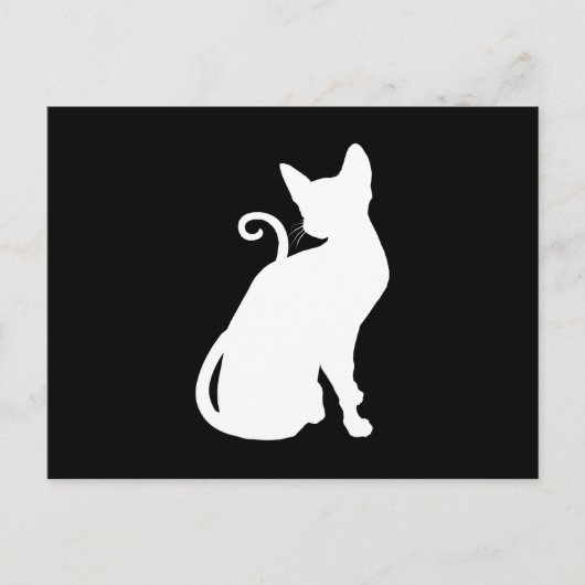 ホワイトハウスキャット ポストカード (正面)