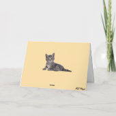 ホワイトハウスジャイアント虎猫 カード (裏面)