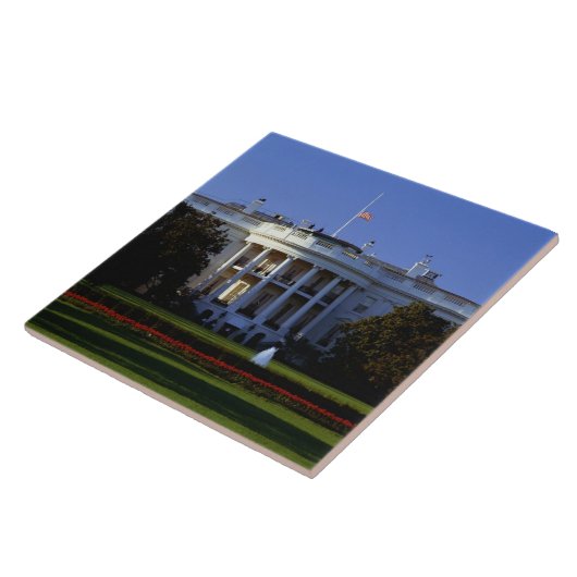 ホワイトハウス タイル (側面)