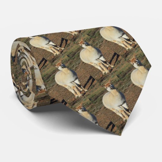 ホワイトハッピービッグウールアルパカネックタイ ネクタイ (ロール)