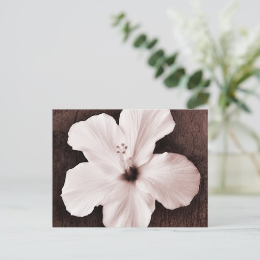 ホワイトハワイアンハイビスカスセピア熱帯花 ポストカード (スタンド正面)