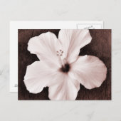 ホワイトハワイアンハイビスカスセピア熱帯花 ポストカード (正面/裏面)