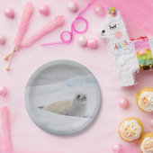 ホワイトハーバーシール雪の写真 ペーパープレート (パーティー)