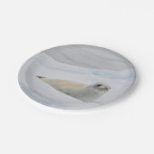 ホワイトハーバーシール雪の写真 ペーパープレート (アングル)