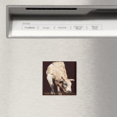 ホワイトバッキングロデオブル マグネット (インサイチュ (食洗機))