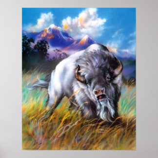 ホワイトバッファローのポスター ポスター