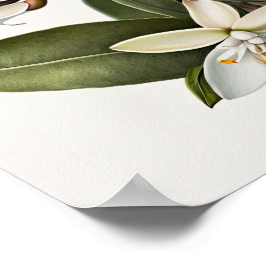 ホワイトバニラフラワーズアートプリントポスター ポスター (角)