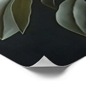 ホワイトバニラフラワーズアートプリントポスター ポスター (角)