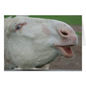 ホワイトバロック (正面横)