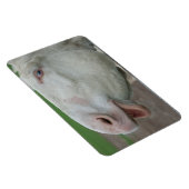 ホワイトバロック マグネット (右側)