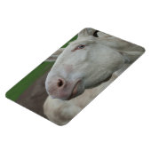 ホワイトバロック マグネット (左側)