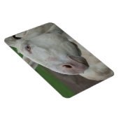 ホワイトバロック マグネット (右側)