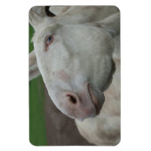 ホワイトバロック マグネット (縦)