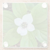 ホワイトバンクベリードグウッド開花フローラ ガラスコースター (裏面)