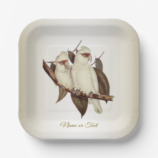 ホワイトバード紙プレート ペーパープレート (正面)