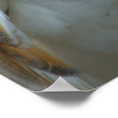 ホワイトバームフクロウのポスター ポスター (角)