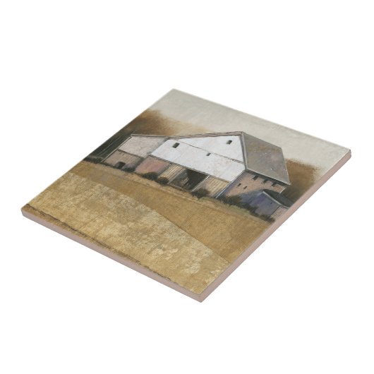 ホワイトバーンビュー タイル (側面)