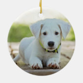 ホワイトパウプリント ローズゴールド 犬の写真 名前 年 セラミックオーナメント (裏面)
