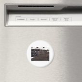 ホワイトパス12 マグネット (インサイチュ (食洗機))