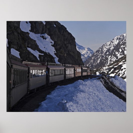 ホワイトパス22 ポスター (正面)